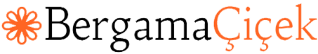 Bergama Çiçek - Elif Yeşildağ